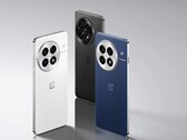 De OnePlus 13. (Afbeelding bron: OnePlus)