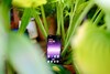 OnePlus Nord 5 beoordeling