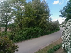 Foto gemaakt met de hoofdcamera