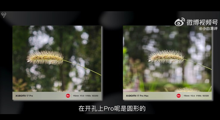 Xiaomi 17 Pro vs Xiaomi 17 Pro Max: Macrofoto gemaakt met 5x telefoto vergeleken