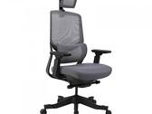 Flexispot Soutien Ergonomische Bureaustoel hands-on