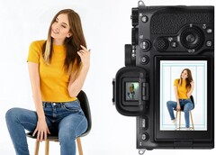 Sony prijst aangepaste rasterlijnen aan als een oplossing voor fotografen die werken op plaatsen zoals cruiseschepen, pretparken, scholen en ID-fotostudio's. (Afbeeldingsbron: Sony)
