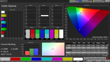 CalMAN sRGB-gamma