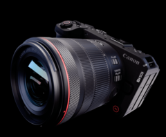 Een afbeelding van de Canon EOS R6 V.