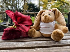 Vivo X300 Pro: Voorbeeldfoto