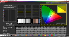 CalMAN ColorChecker (sRGB-profiel, sRGB-doelkleurruimte)