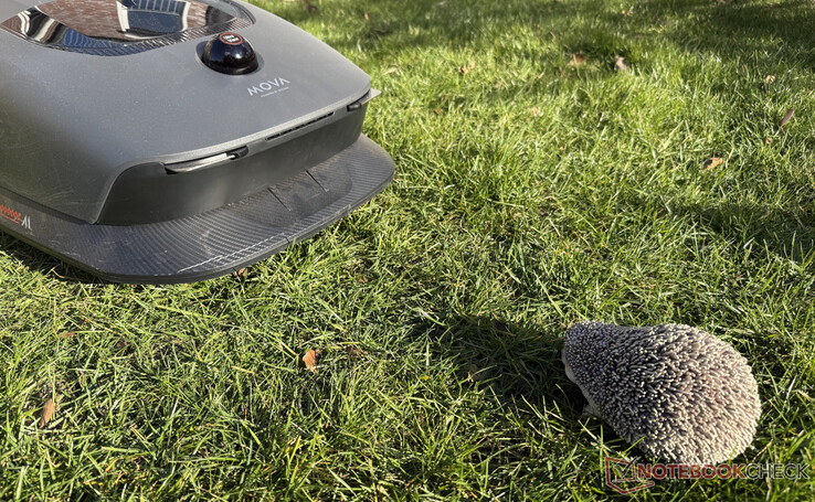 De Mova 1000 detecteerde de egelpop betrouwbaar in de test
