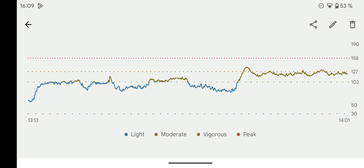 Hartslagmonitor Fitbit Charge 6