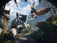 Afbeelding uit het spel The Witcher 3: Wild Hunt. (Afbeeldingsbron: Steam)