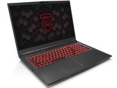 Kort testrapport Eluktronics Matrix RP-17 Laptop: Core i9-prestaties zonder de Core i9-prijs