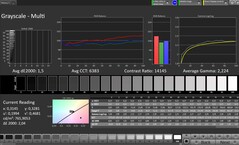 Grijstinten (profiel: Professional, doelkleurruimte: sRGB)