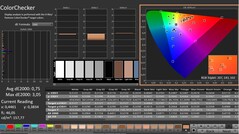 CalMAN: ColorChecker (gekalibreerd)