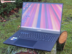 De Asus ExpertBook B5 Flip OLED (B5602FBN-MI0012X), geleverd door Asus Duitsland.