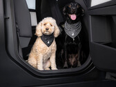 Tesla Dog Mode-bandana