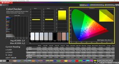 CalMAN ColorChecker (doelkleurruimte: P3)