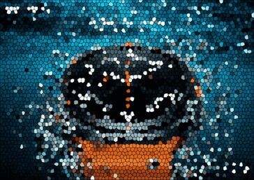 (Afbeeldingsbron: Evan Blass)