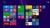 Microsoft Windows 8.1 (64-bit) is standaard geïnstalleerd.