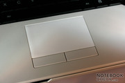 Het touchpad ontvangt een flinke portie kritiek door de nogal lastig in te drukken touchpadknoppen.