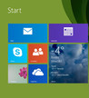 Windows 8.1 Pro 64-bit is standaard geïnstalleerd.