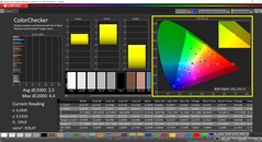 CalMAN ColorChecker (doelkleurruimte P3)