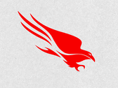 CrowdStrike Falcon-platform (Afbeeldingsbron: CrowdStrike)