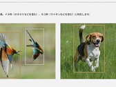 Deze twee foto's, onder andere op de productpagina van de Lumix S9, hebben de controverse doen ontstaan (Afb. bron: Panasonic)