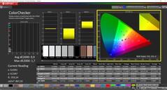 CalMAN ColorChecker (Profiel: P3)