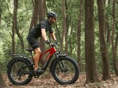 De Vanpowers GrandTeton-Pro e-bike heeft een 750W motor. (Afbeelding bron: Vanpowers)