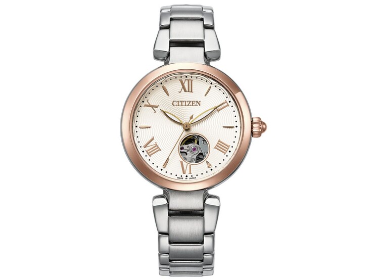Het Citizen Collection PR1054-59A horloge