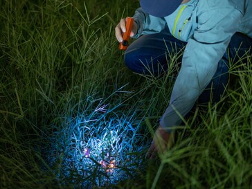 De Olight ArkPro Ultra beschikt over een UV-lamp voor het opsporen van organische vlekken.
