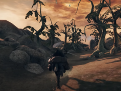 Screengrab van de in-progress port van Morrowind met Elden Ring (bron: InfernoPlus YT)