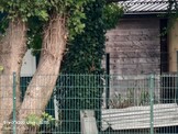 1.600 mm - Teleconverter 