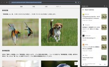 De foto van de vogels is gemaakt door een Nikon-ambassadeur met een Nikon D810 (Foto bron: Photo Rumors)