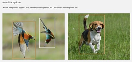 Een foto die de AF-functie voor dierherkenning illustreert (Afb. bron: Photo Rumors)