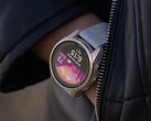 Softwareversie 17.28 is een kleine herziening ten opzichte van de update die Garmin een maand geleden uitbracht. (Afbeelding bron: Garmin)