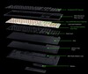 De interne structuur van de BlackWidow V4 HyperSpeed TKL (Afbeelding bron: Razer)
