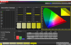 CalMAN verzadigingsvegen gekalibreerd