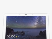 Google's Home Display zou een opvolger kunnen zijn van de Nest Hub Max (afgebeeld)