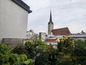 Hoofdcamera