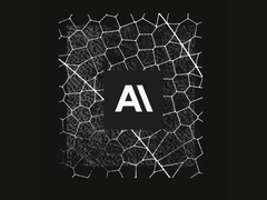 Een illustratie van de Anthropic website met het Anthropic logo bovenaan.