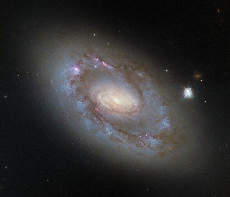 De Hubble-opname van NGC 4102 (Afbeeldingsbron: ESA/Hubble, NASA en G. Fabbiano)