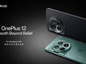 De OnePlus 12. (Afbeeldingsbron: OnePlus)