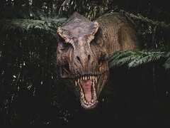 Een afbeelding van de T. rex