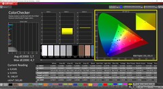 CalMAN ColorChecker (Profiel: sRGB, Doelkleurruimte: sRGB)