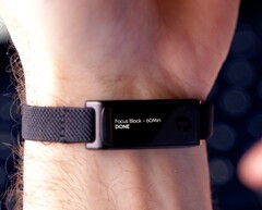 De Jaye Band wordt momenteel via Kickstarter gefinancierd.