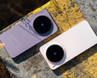 De Vivo X300 en Vivo X300 Pro zullen de eerste smartphones zijn met OriginOS 6. (Afbeeldingsbron: Vertrax)
