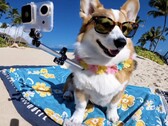OpenAI introduceert Sora, voor het fotorealistisch genereren van tekst naar video (Bron: OpenAI)
