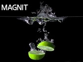 De MAGNIT-serie heeft er een nieuw lid bij. (Bron: LG)