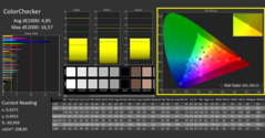 CalMAN - Color Checker (gekalibreerd)