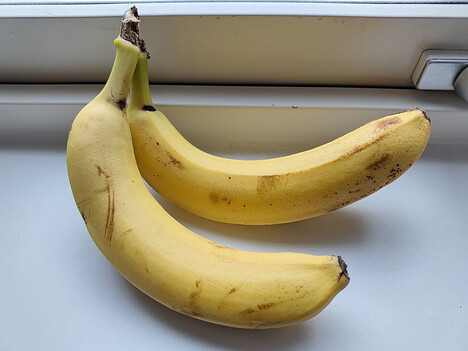 Opnemen met de hoofdcamera